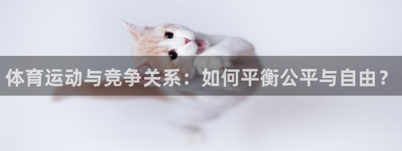919体育场：体育运动与竞争关系：如何平衡公平与自由？