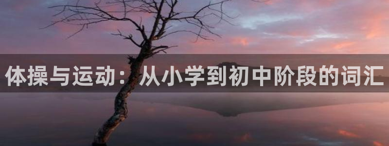 919体育场小区路线：体操与运动：从小学到初中阶段的词汇