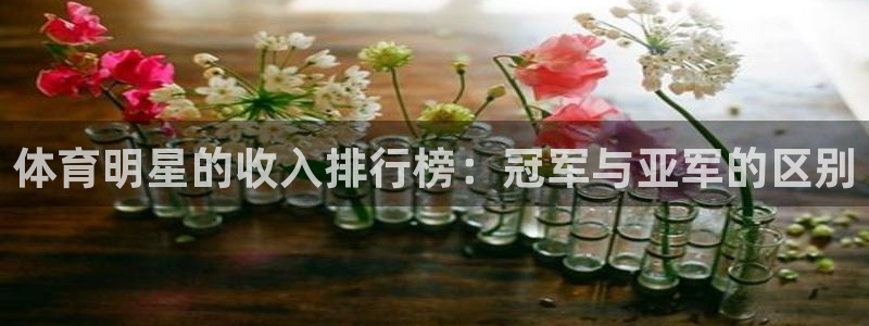 赢点体育直播919体育直播：体育明星的收入排行榜：冠军与亚军的区别