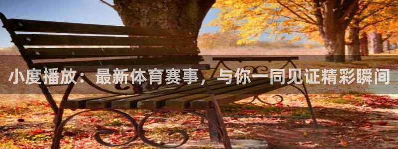 919体育专业直播平台：小度播放：最新体育赛事，与你一同见证精彩瞬间