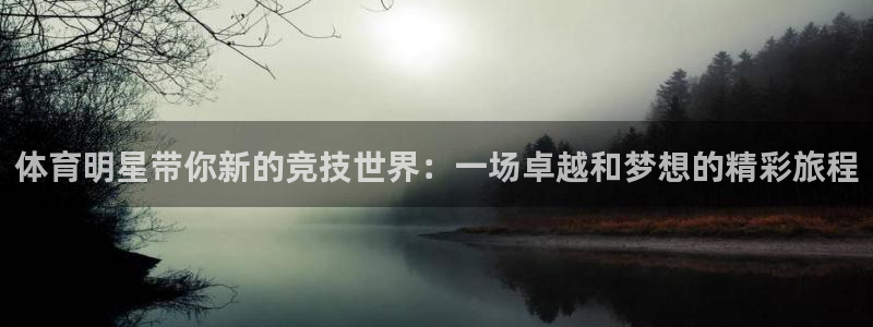 智博1919体育：体育明星带你新的竞技世界：一场卓越和梦想的精彩旅程