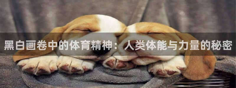 919体育NBA直播苹果版：黑白画卷中的体育精神：人类体能与力量的秘密